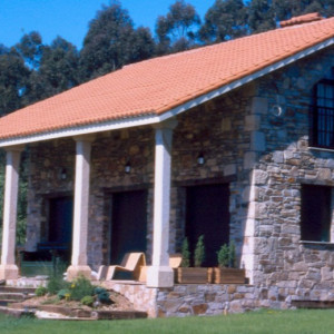 Frontis